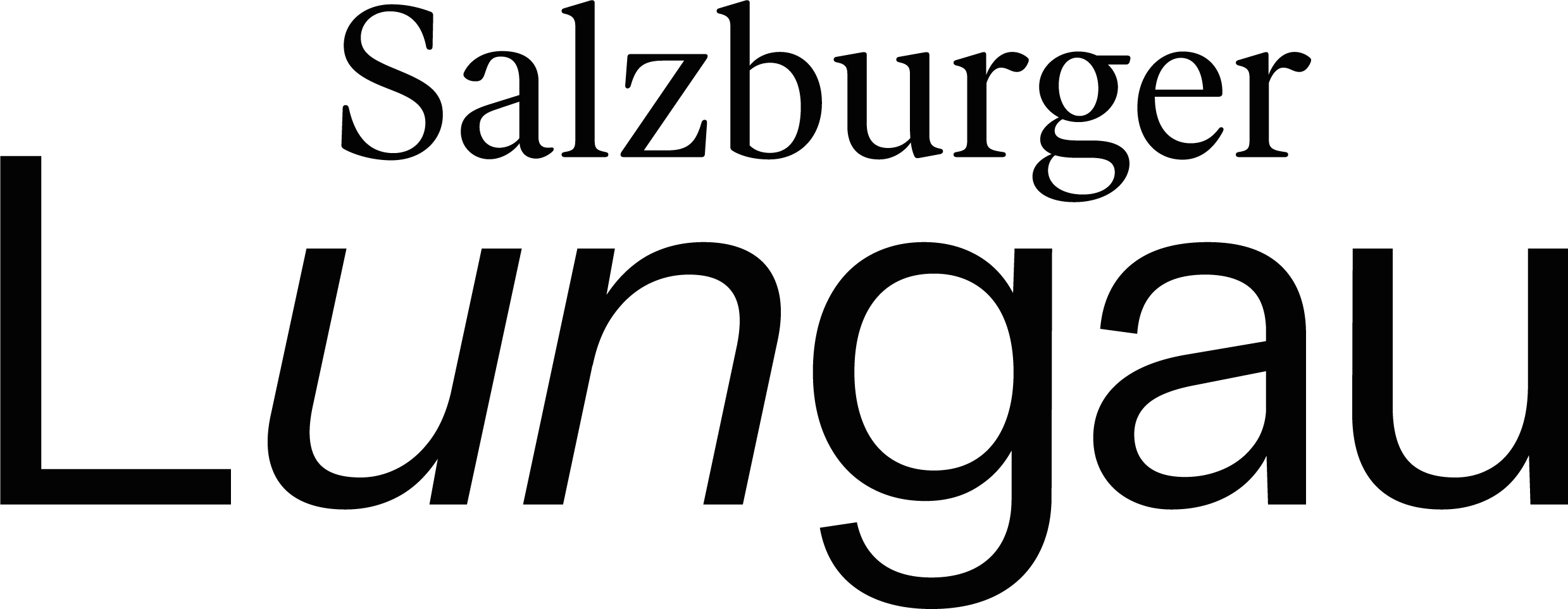 Lungau Logo
